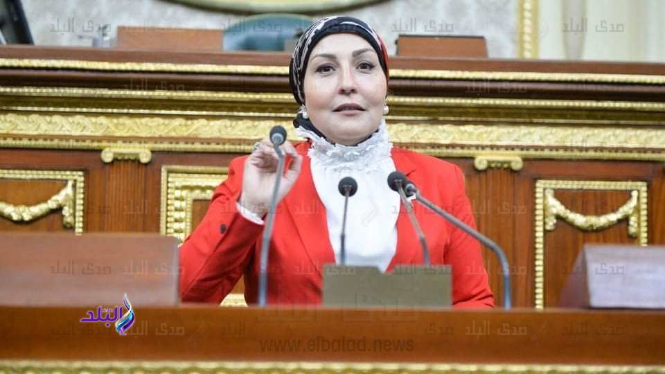  النائبة هالة أبو السعد