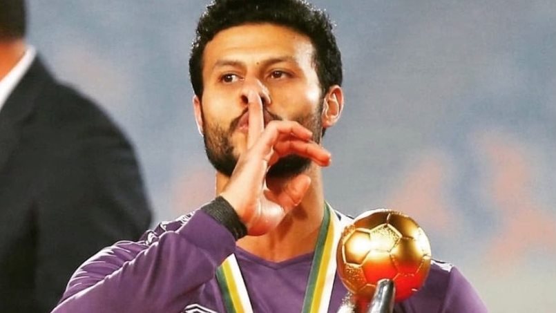 الشناوي