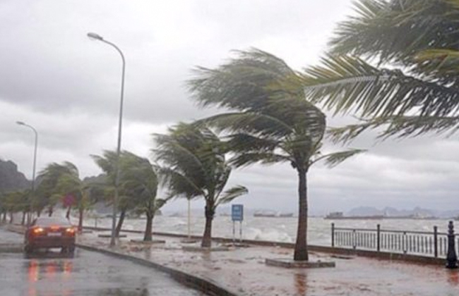 صورة أرشيفية.. عاصفة شديدة