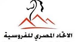 اتحاد الفروسية