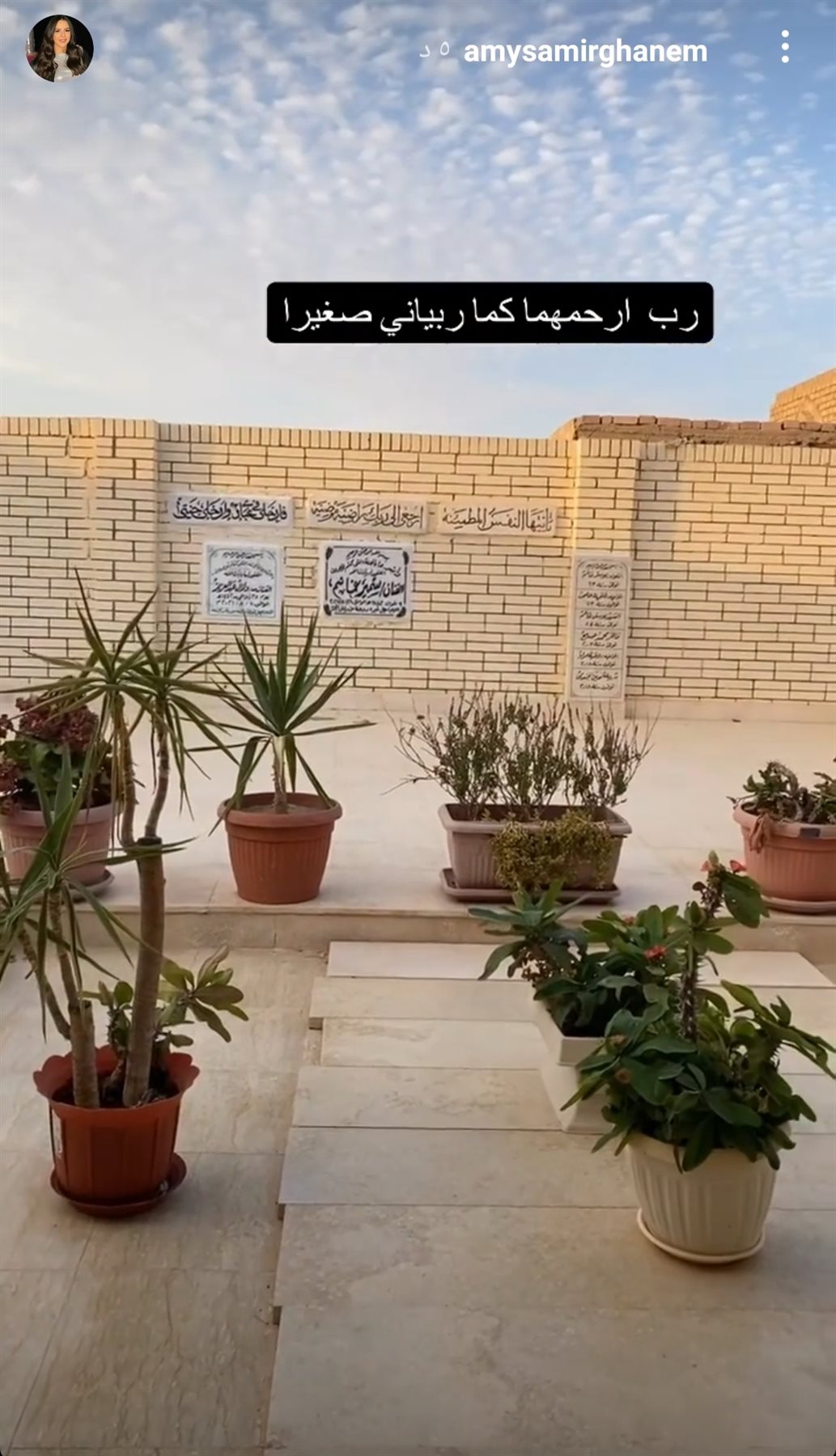 IMG_٢٠٢١١٠١٦_١٦٥٦٣٣