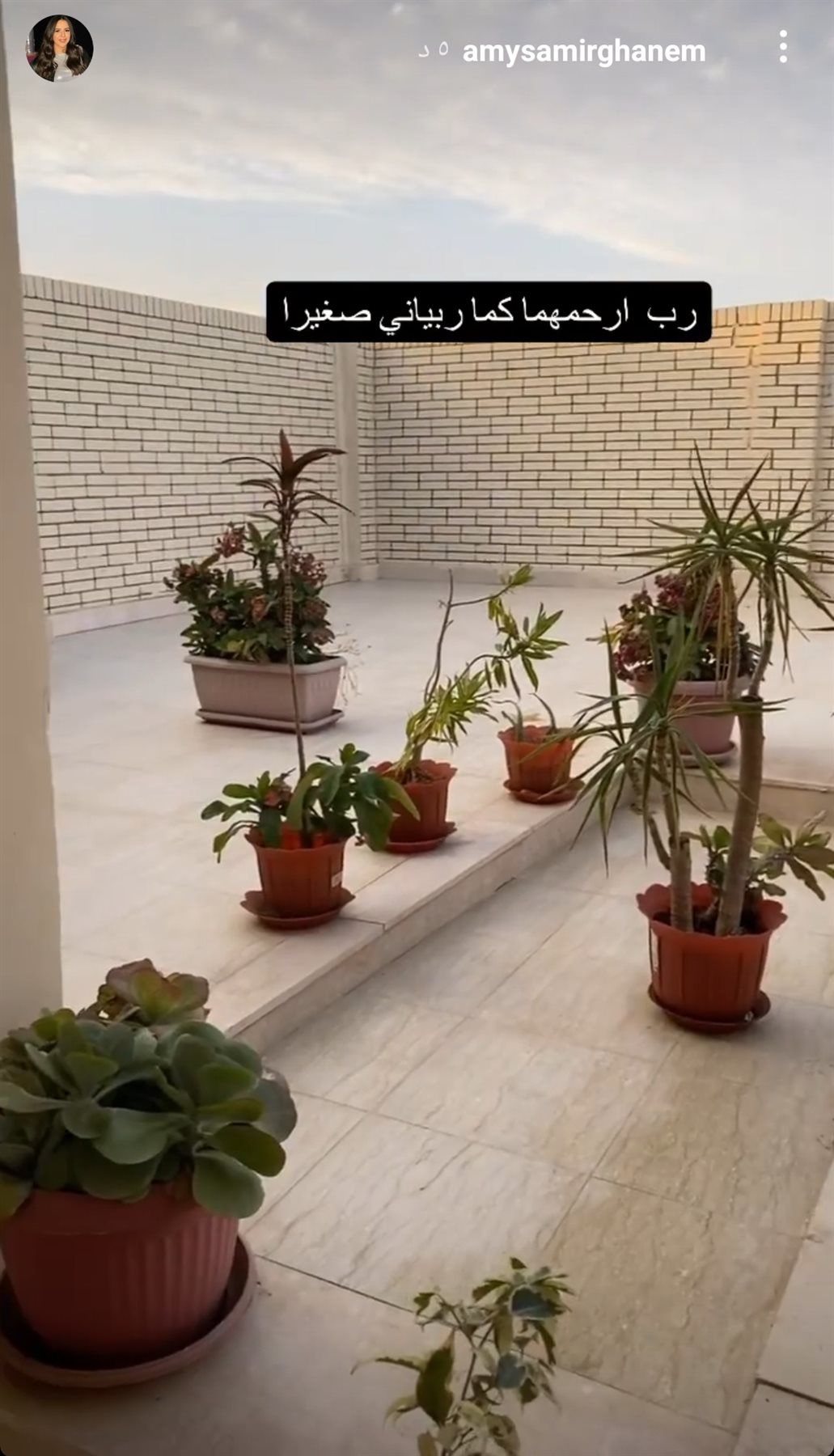 IMG_٢٠٢١١٠١٦_١٦٥٦٢٣