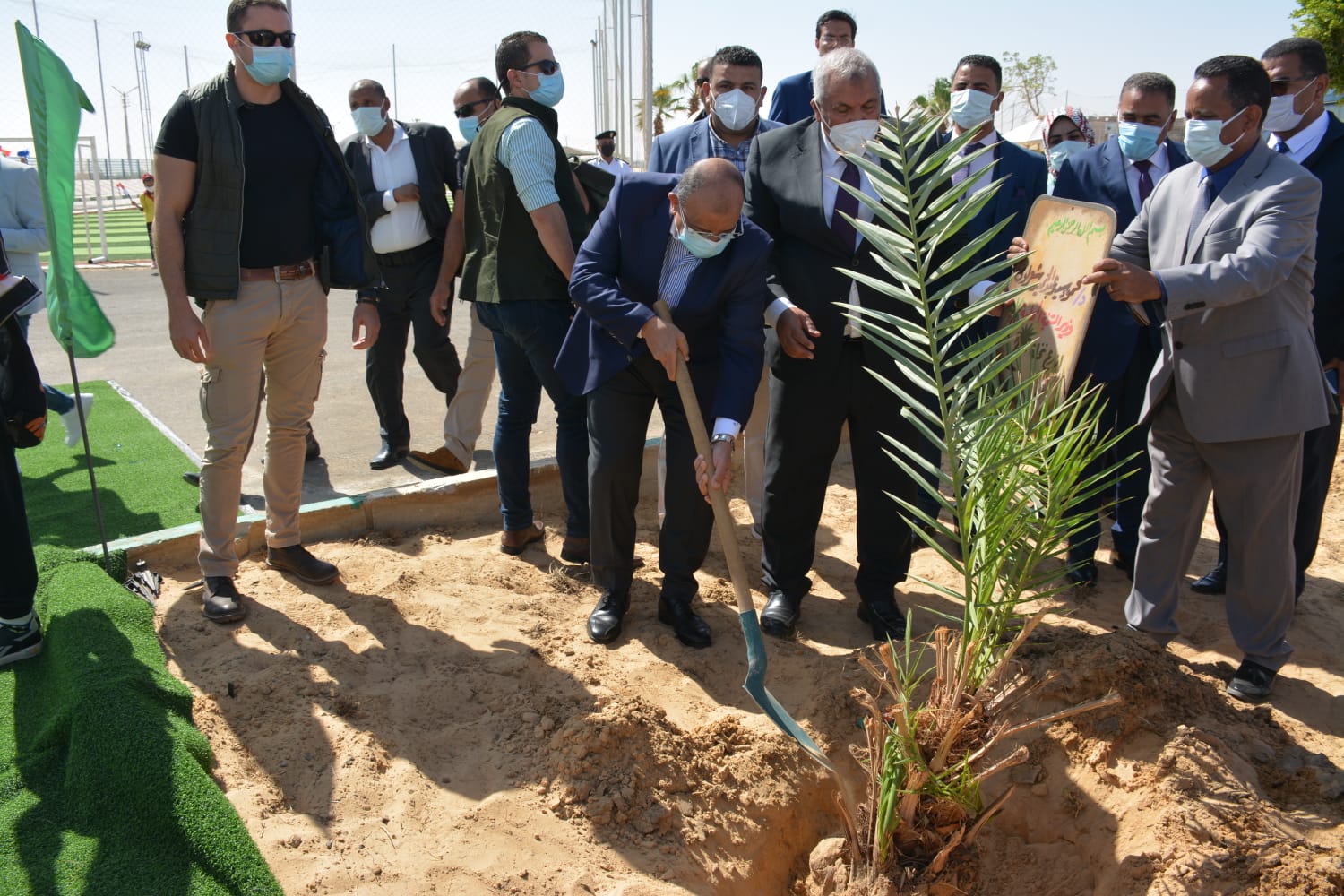 وزير التنمية المحلية يزرع نخلة