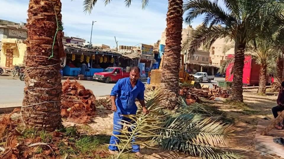 سيوة تستعد للموسم الشتوي