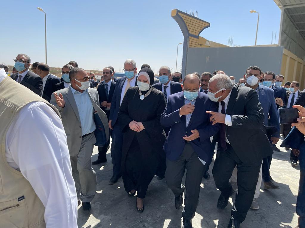 مهرجان التمور