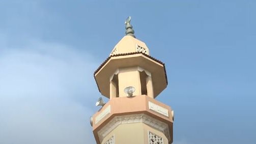 المساجد 