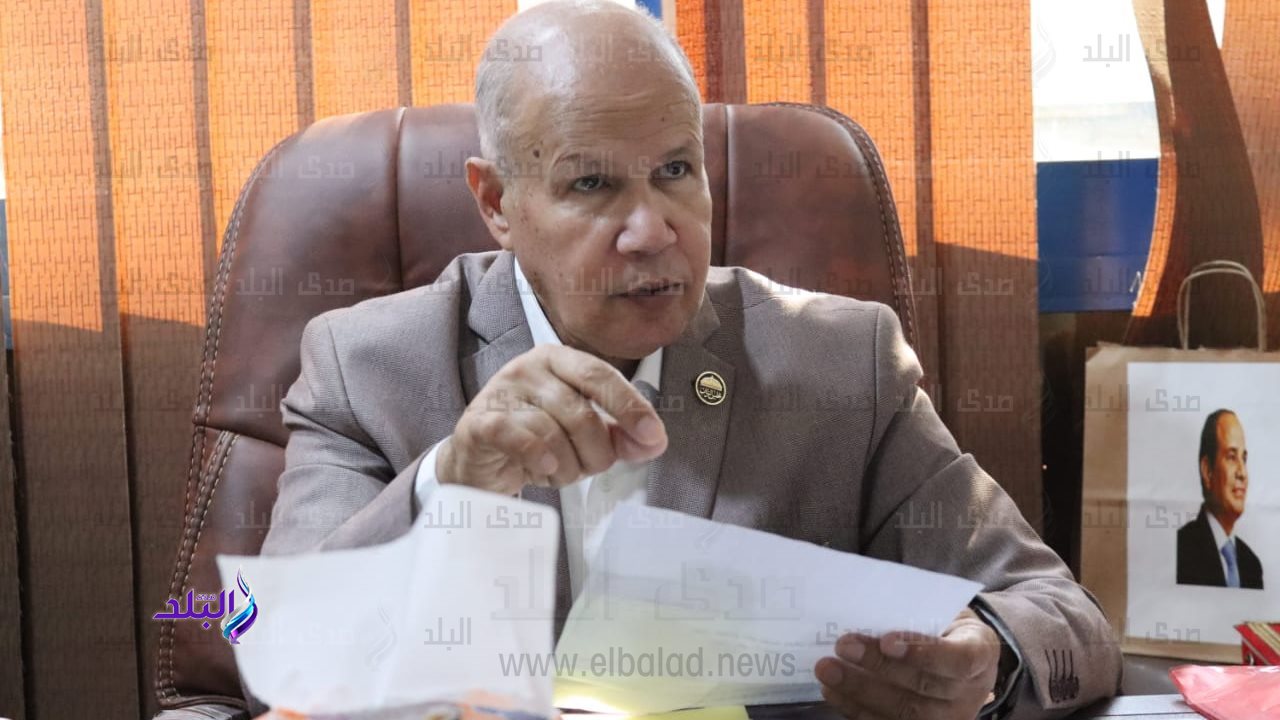 النائب سيد شمس الدين