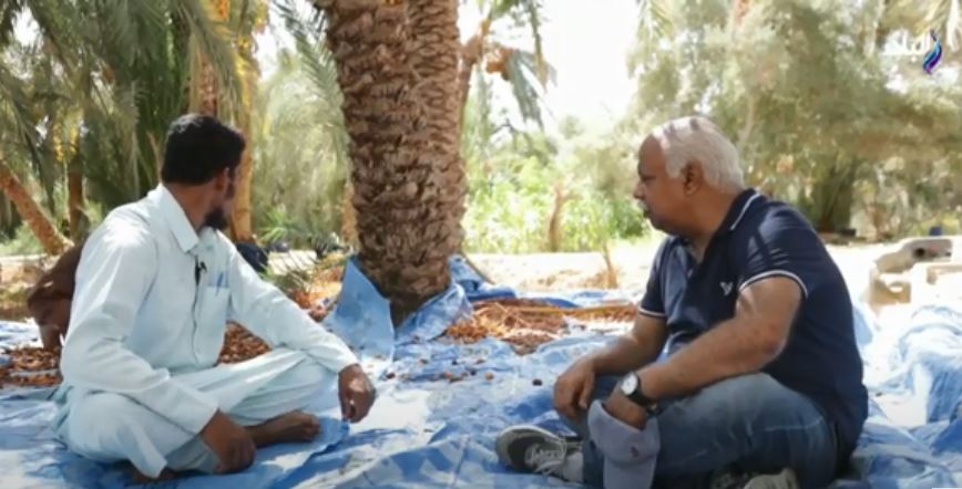 التمور فى واحة سيوة