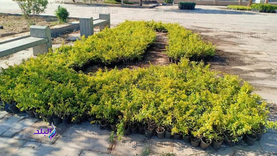 أعمال تطوير الساحة الخارجية لمعابد الكرنك بمدينة الأقصر