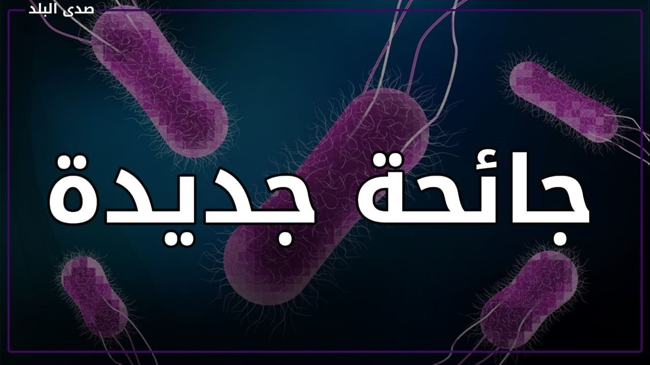 جائحة السالمونيلا