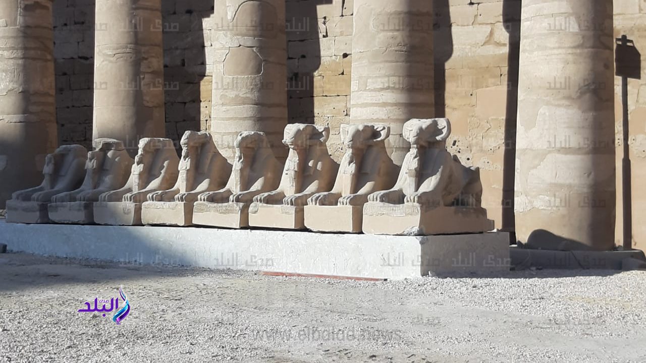 ترميم 19 كبش بمعبد الكرنك