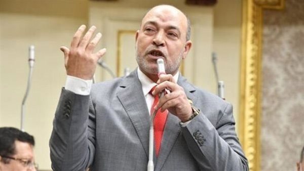  حسن المير ، عضو مجلس النواب 