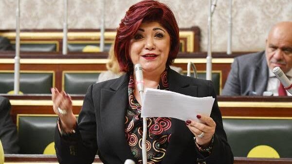 نورا على ، رئيس لجنة السياحة والطيران بمجلس النواب 
