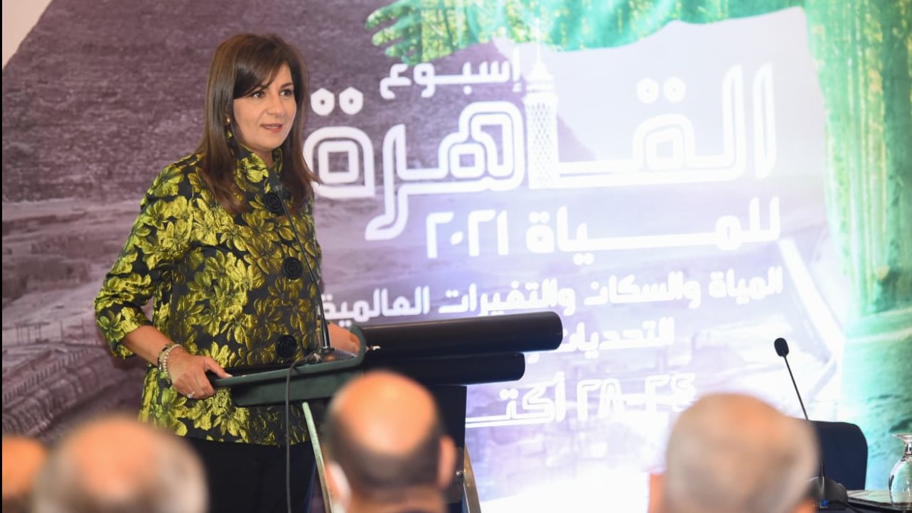 وزيرة الهجرة 