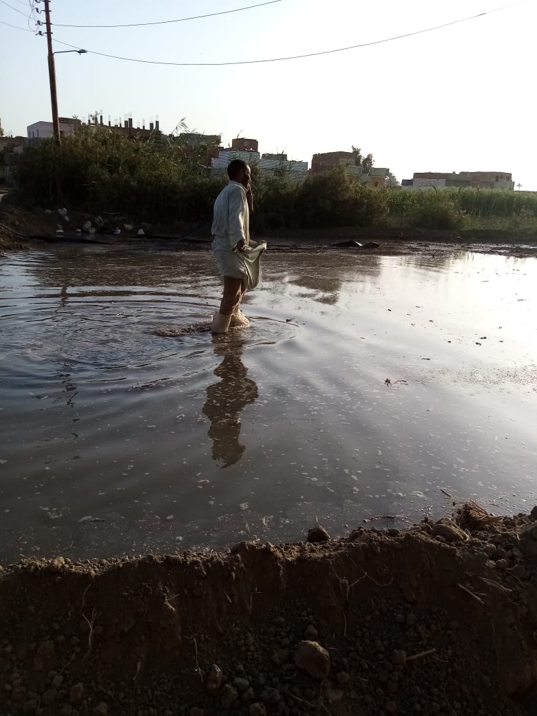 بعض الاراضى التى تم أعادة زراعتها بالفيوم
