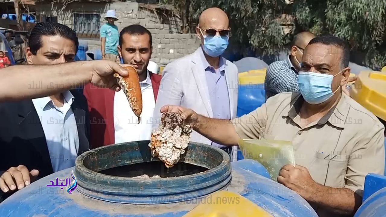 جانب من الحملات 