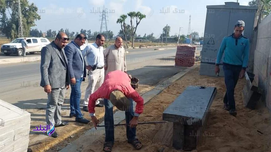 رئيس مدينة دسوق