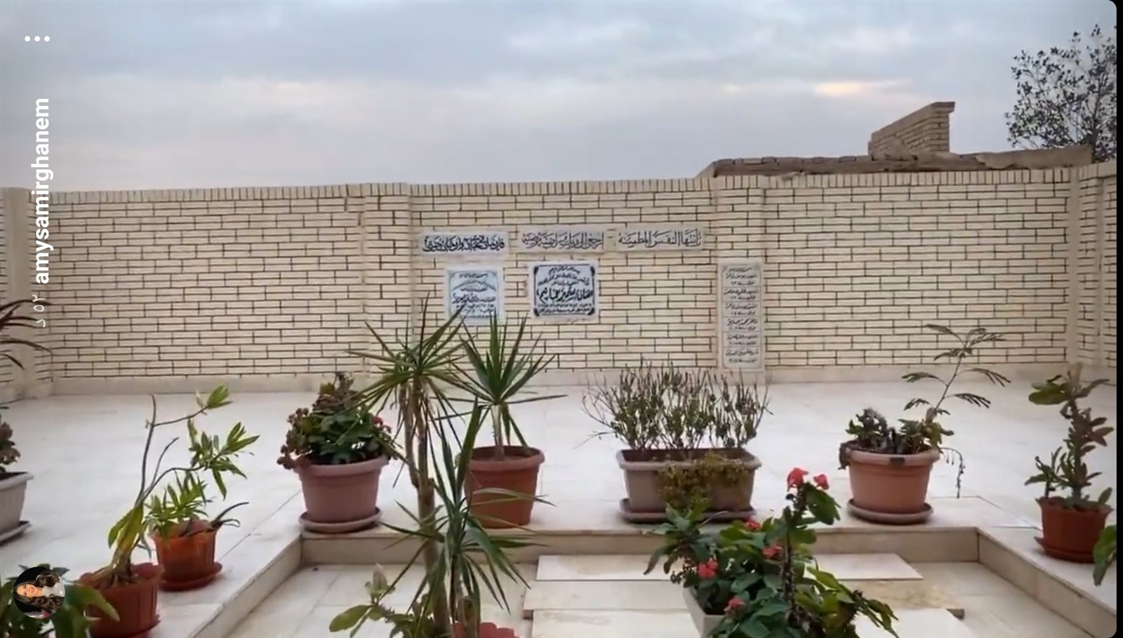 IMG_٢٠٢١١٠٣٠_١٧٥٨٢٧