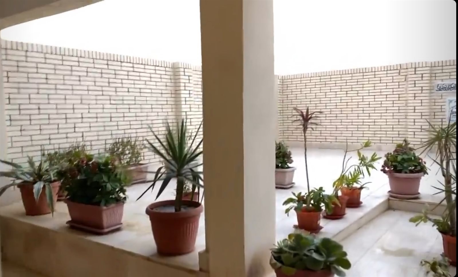 IMG_٢٠٢١١٠٣٠_١٧٥٨١٦