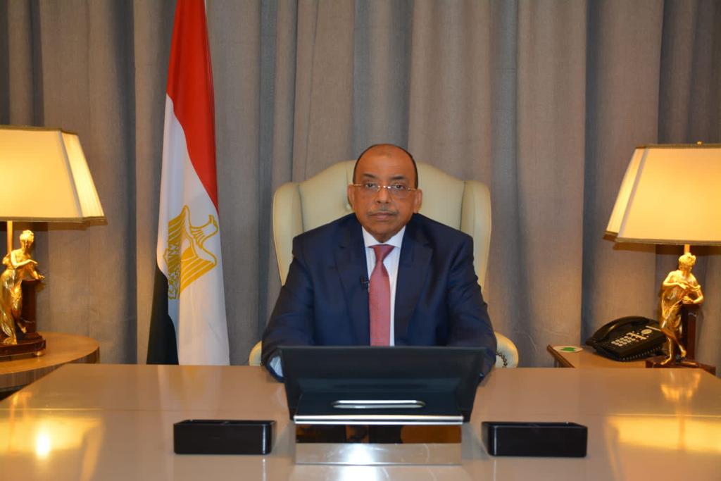 وزير التنمية المحلية 