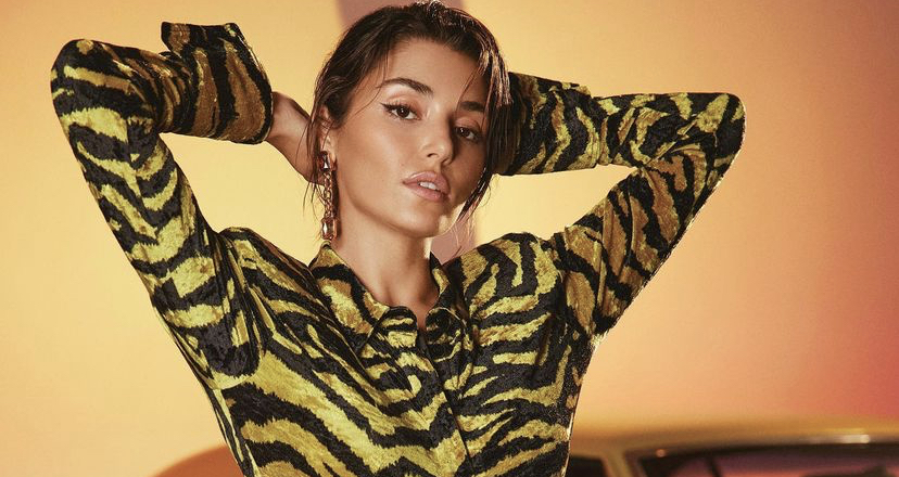 هاندا ارتشيل 