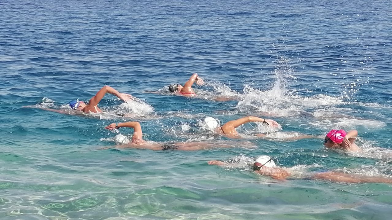 صورة موضوعية