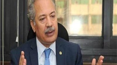  عصام شيحة، عضو المجلس القومي لحقوق الإنسان