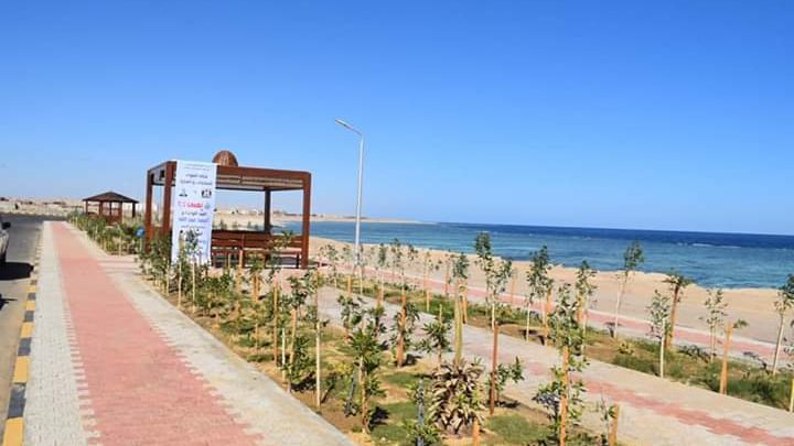 صورة موضوعية