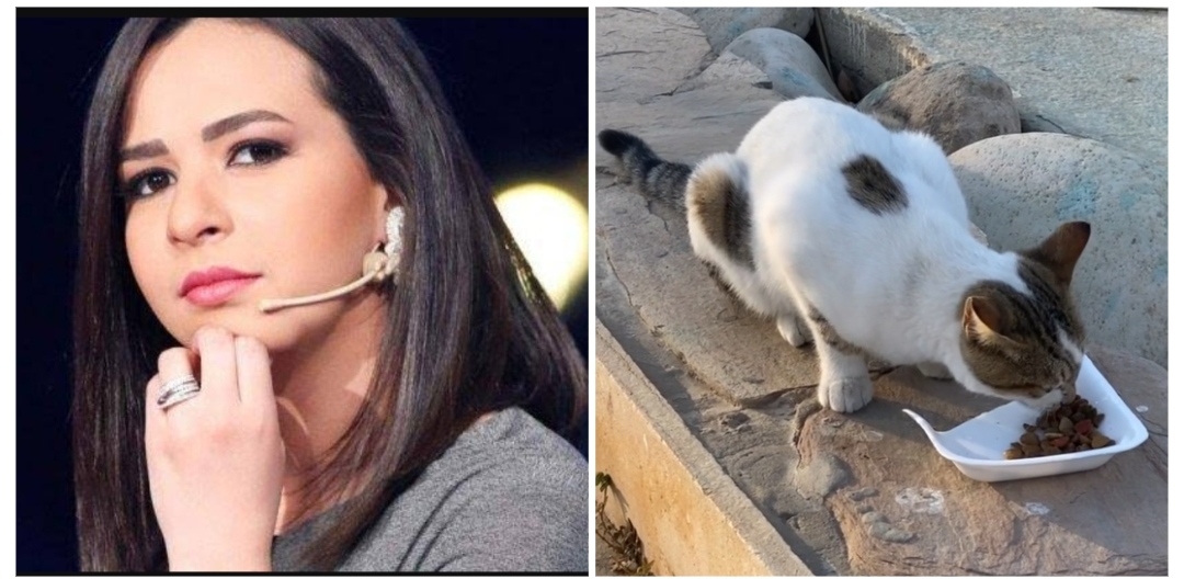 ايمي سمير غانم