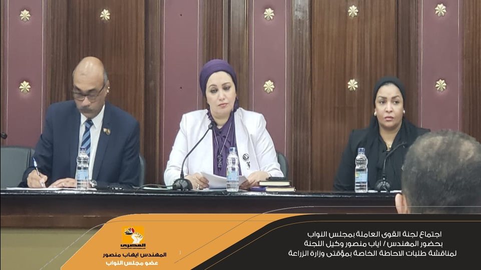  اجتماع لجنة القوى العاملة بمجلس النواب