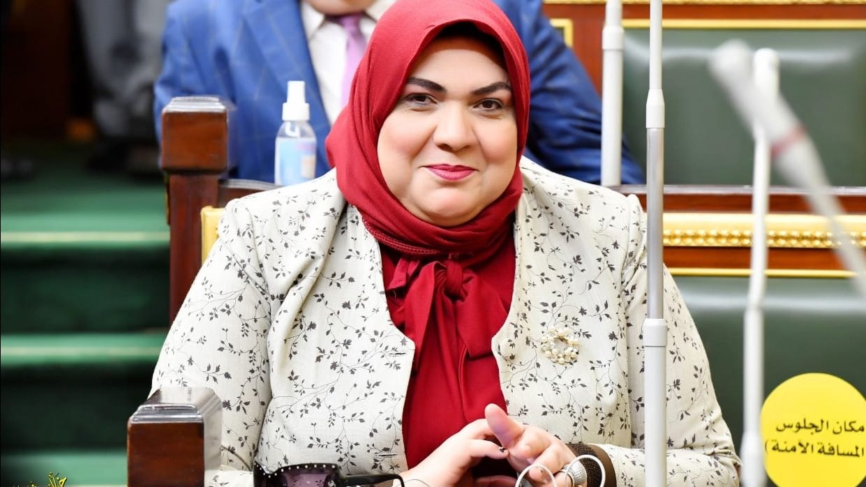 النائبة امل قطب عضو مجلس النواب 