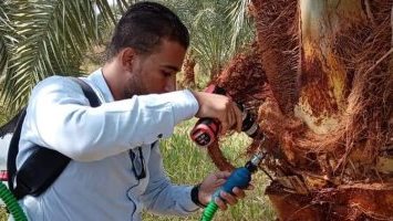 ارشيفيه