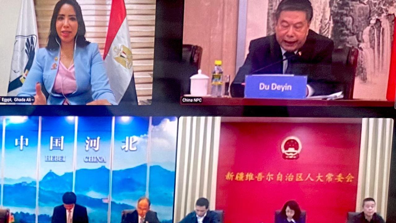 النائبة غادة علي خلال الندوة النائبة غادة علي خلال الندوة