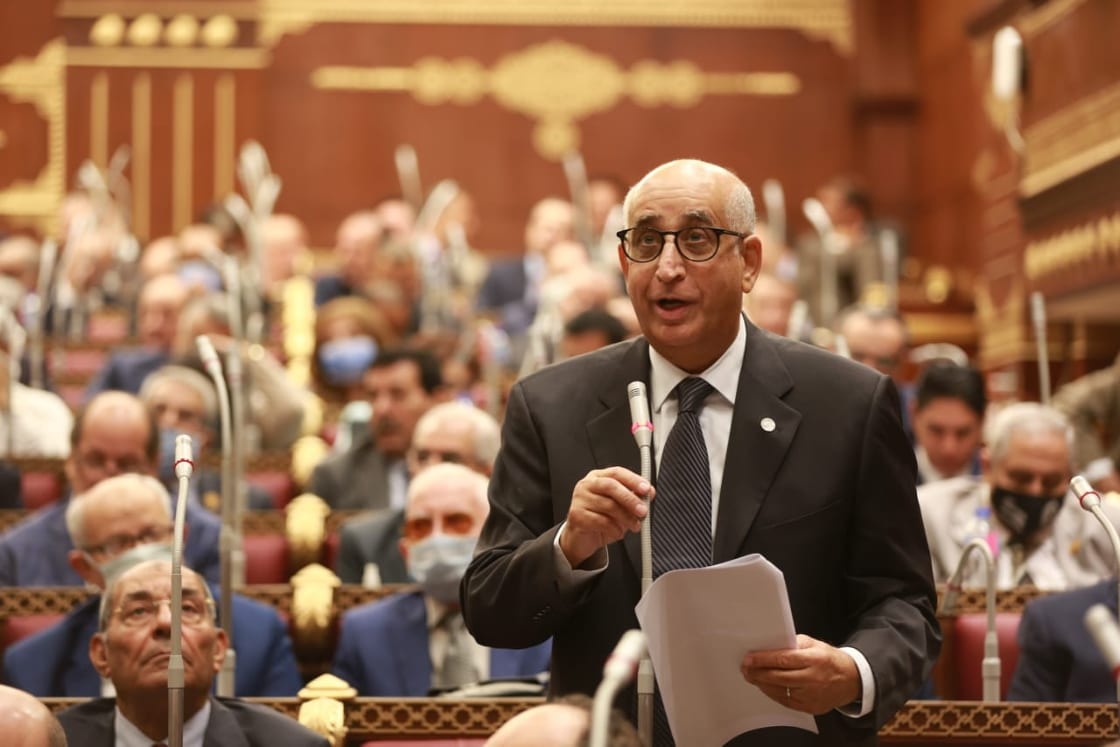 حسانين توفيق، عضو مجلس الشيوخ 