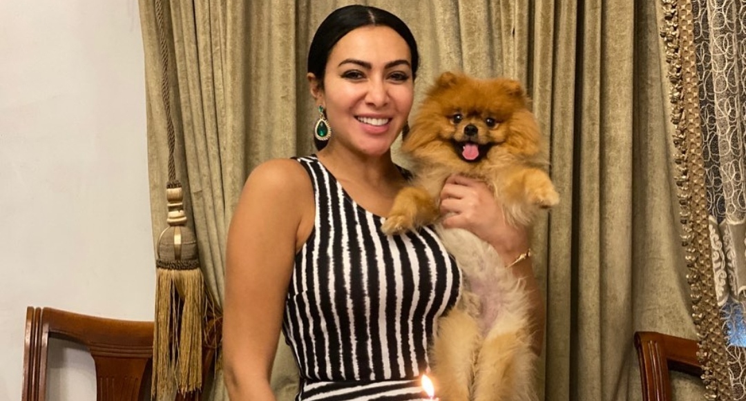 ميرهان حسين 