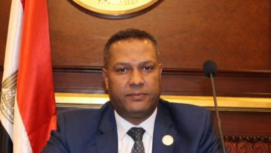 النائب محمد حمزه عضو مجلس الشيوخ