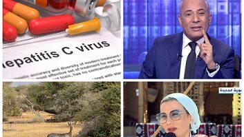 اخبار التوك شو
