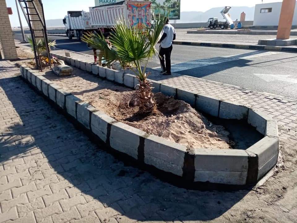 صورة موضوعية