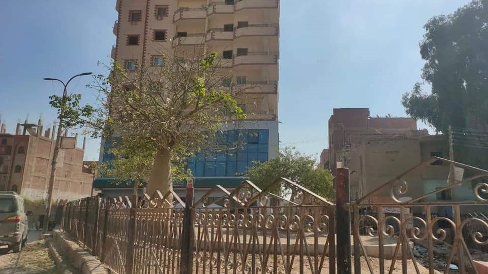 تطوير وتجميل ميدان بمطاي 