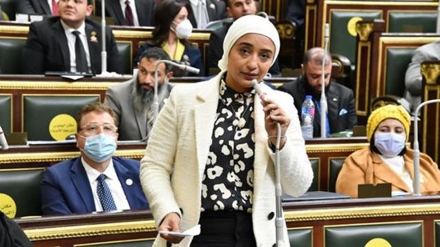  النائبه أميرة أبو شقة عضو مجلس النواب 