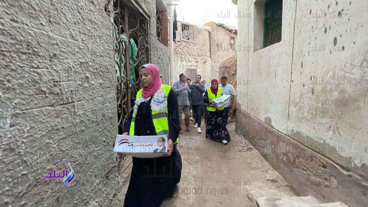 مستقبل وطن بكفر الشيخ