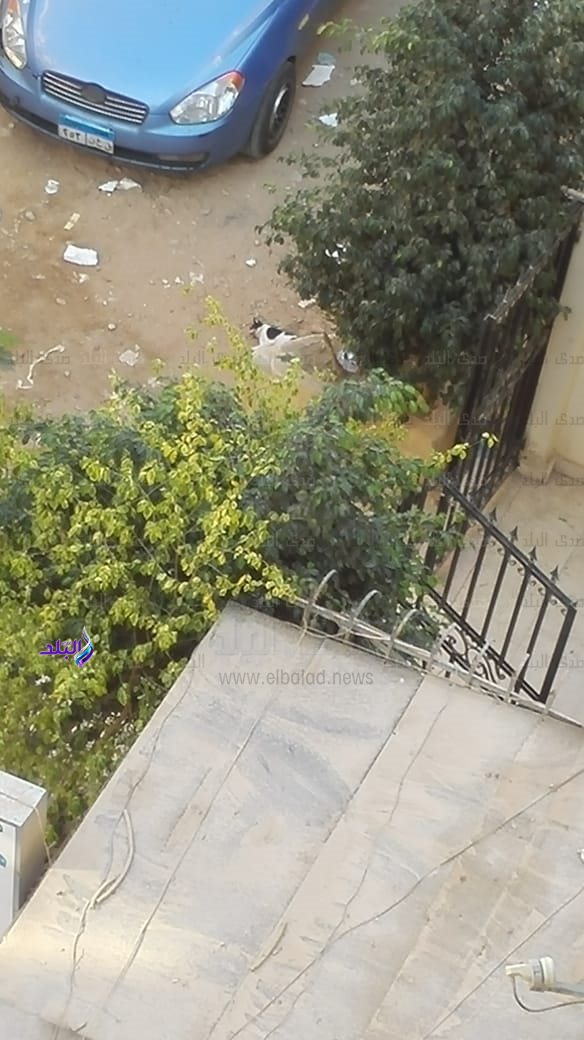 مكان الواقعة
