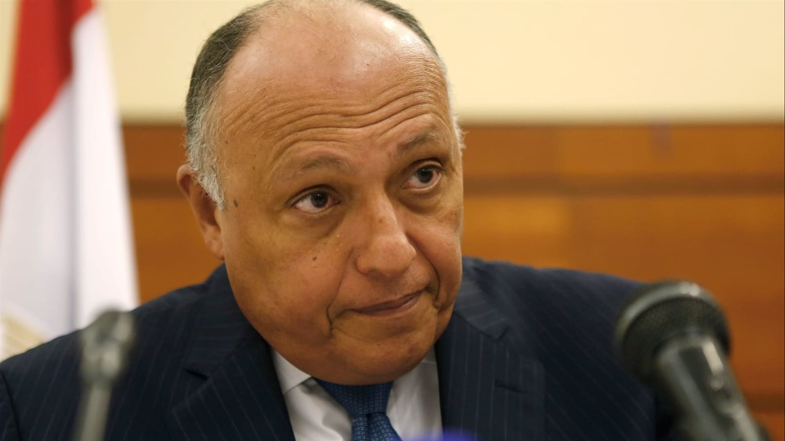 سامح شكرى