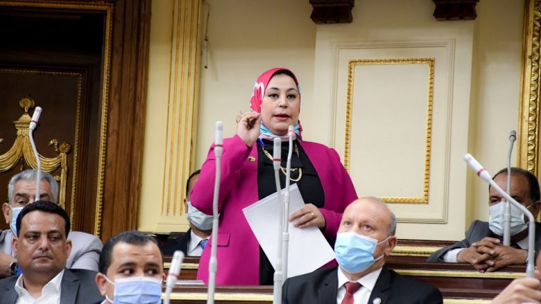 النائبة ولاء التمامي