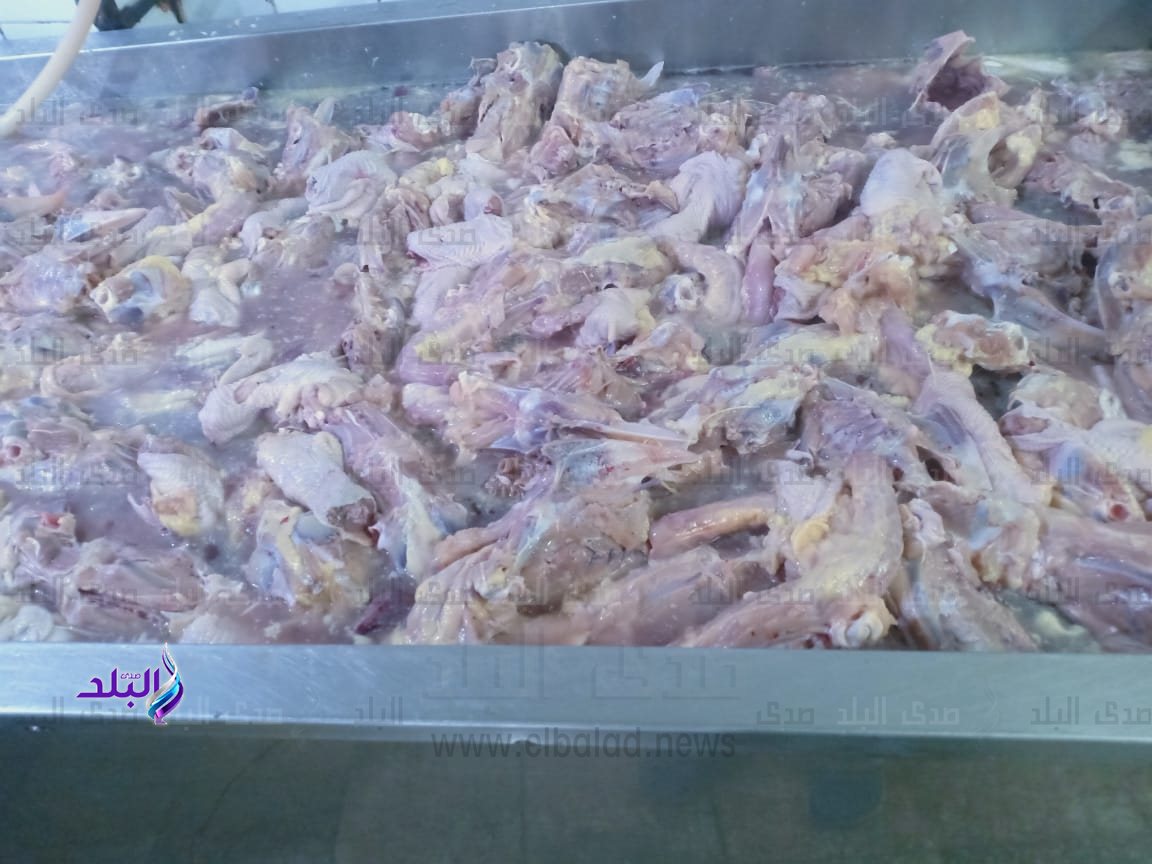 دواجن غير صالحة