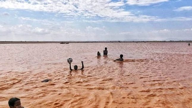 صورة ارشيفية