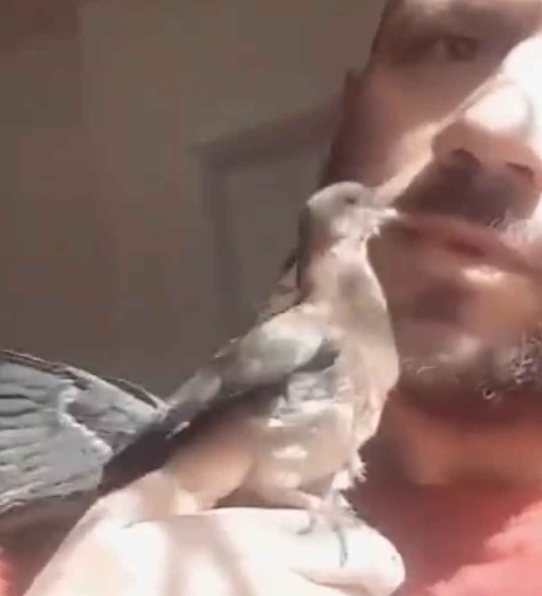 IMG_٢٠٢١١١١٢_١٧٠٩٣٥