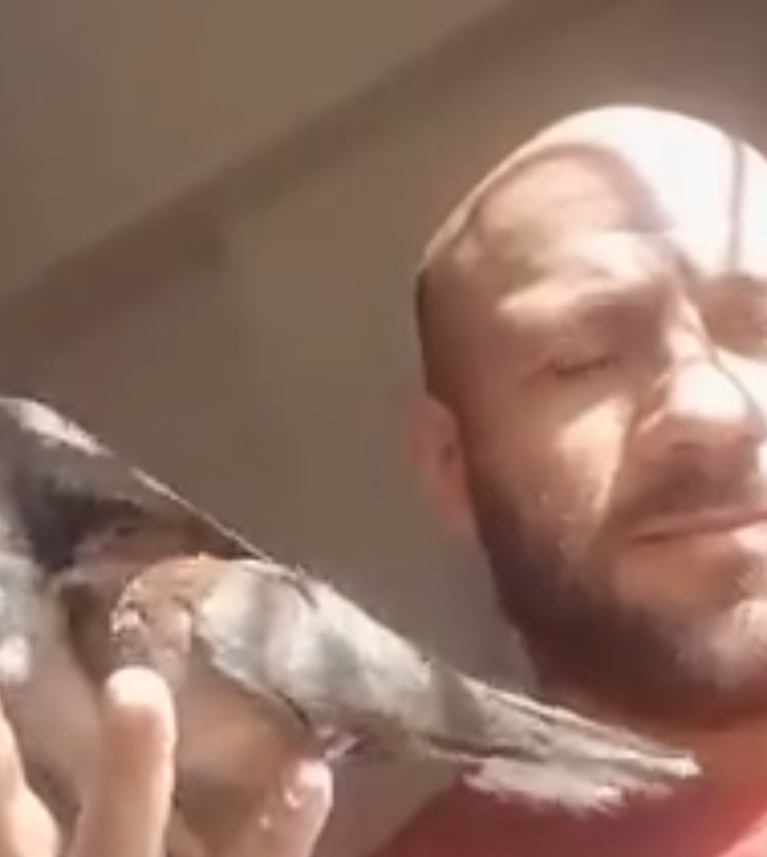 IMG_٢٠٢١١١١٢_١٧٠٩٢٨