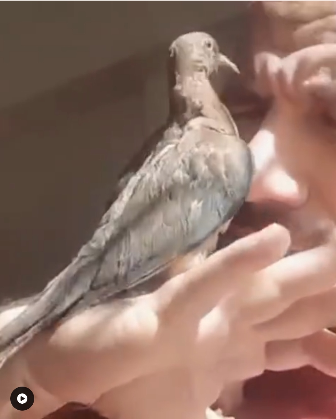 IMG_٢٠٢١١١١٢_١٧٠٩١٩