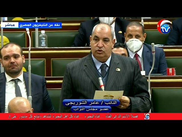 النائب عامر الشوربجي عضو مجلس النواب 